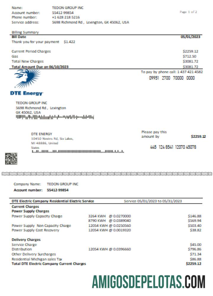 DTE Energy Utility Business Bill SCR Página 1 exemplo